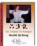 Six Sound Technique DVD